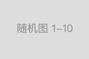 肖战现身孙燕姿上海演唱会 穿周边T恤追星成功